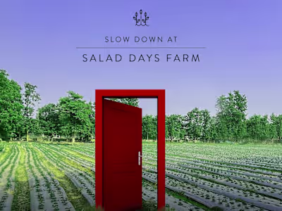 Laying the foundation of a community with a social campaign. 