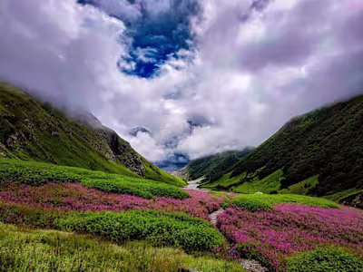 Best Monsoon Treks in the Himalayas