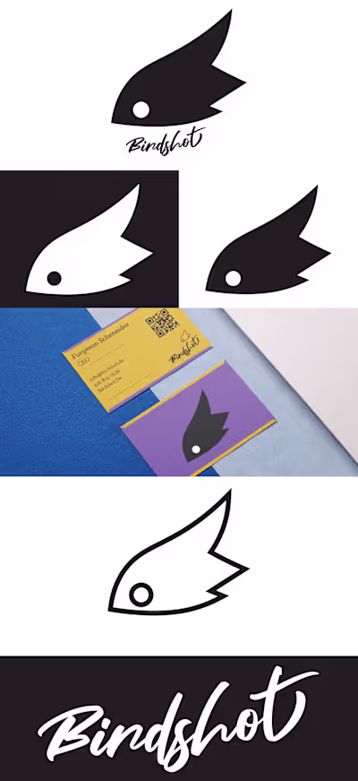 Conceptual Logo For Birdshot