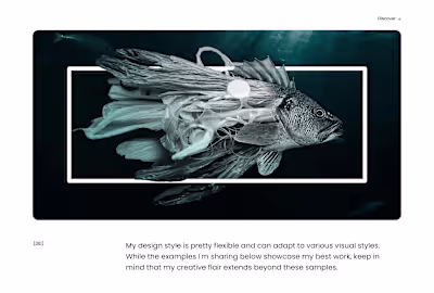 Static/Print Design