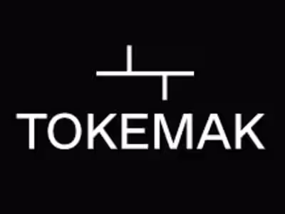 Tokemak: a nuclear disaster