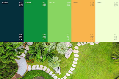 Seedtime Landscapes Brand Identity and Website Design