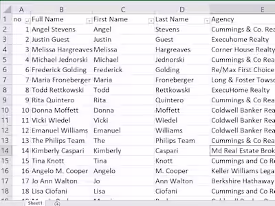 Collect Real Estate Agents Details