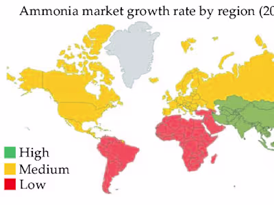 2019 Market Growth