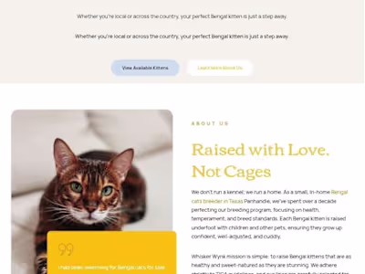 Whisker Wynk | Bengal Cat Breeder | Bengal Cats for Sale