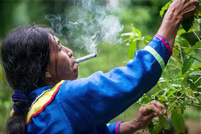 SEO Journalism - Sacred Tobacco