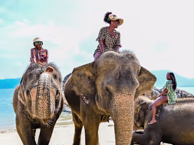 Melanin Globe Travel Company