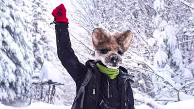 VICE: Wolf Mask-Wearing Protesters Protecting Ancient Forests