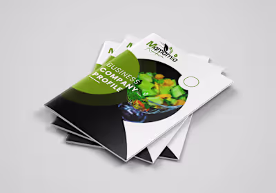 Business Company Profile