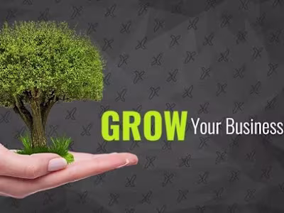 Customized Business Growth Strategies for Start-ups and SMEs