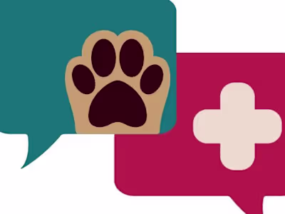 Online eCommerce for WebPet