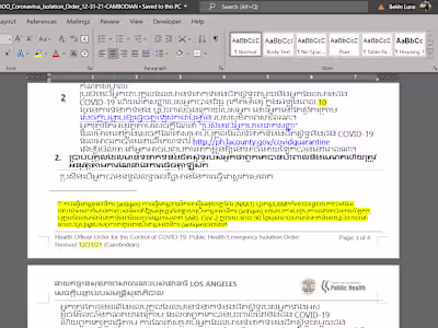 Project Management of Multilingual Translation Team