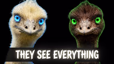 Another Thumbnail I made 👀