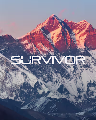 Digital Survivor - Brand Identity & Website