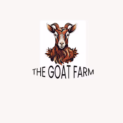 logo design and brand designing