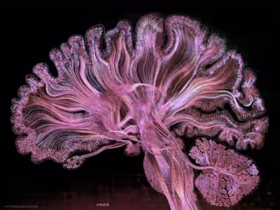 Scientific Writing (Neuroscience)