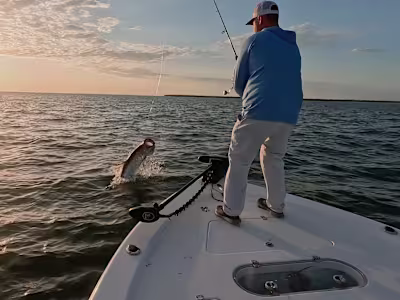 Creator, Marketer, Brand Design, Channel Strategy & Optimization