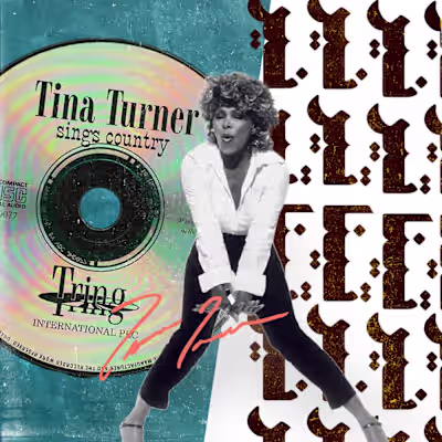 Tina Turner: A Timeless Legacy