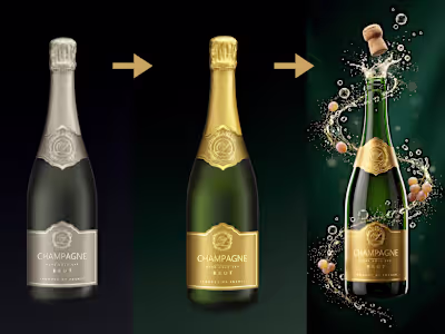 I created high-end photo manipulations