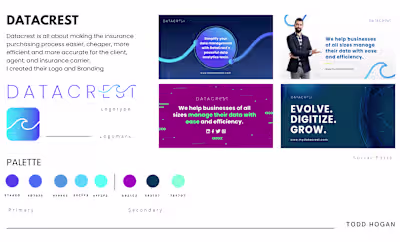 DataCrest Brand and Visual Identity