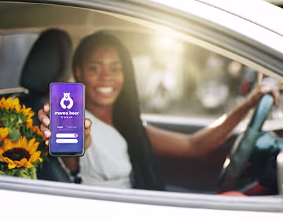 Mama Bear Transit Brand Identity