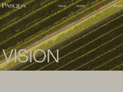 Made this new business website for my client.