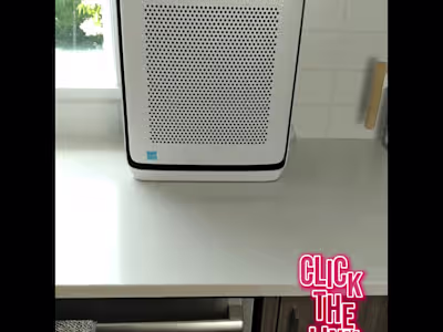 TikTok Ads