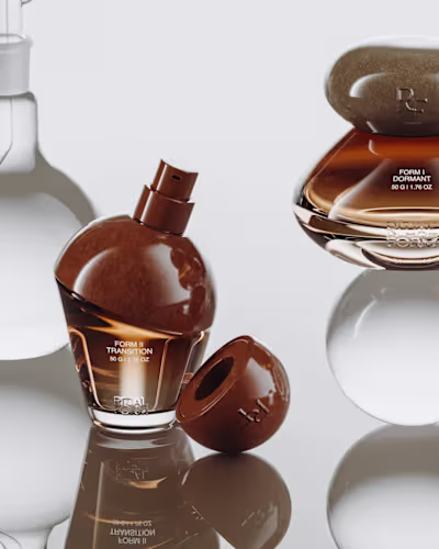 For RITUAL FORM, we developed