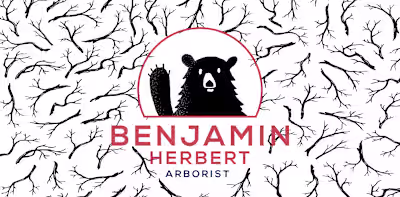 Benjamin Herbert Arborist