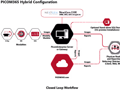 Custom Icons, Diagrams, Powerpoint & more