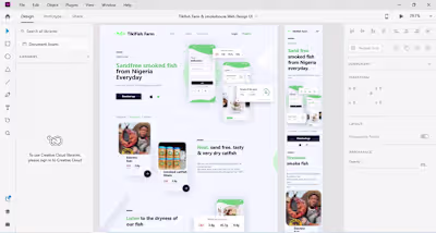 Product Design Engineer | UI/UX | E-commerce Developer