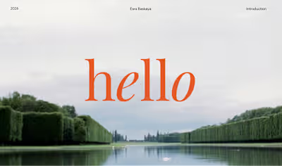 Portfolio Presentation