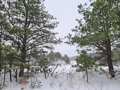 I have been working on