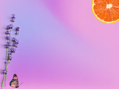 Editing and Refining Web Content