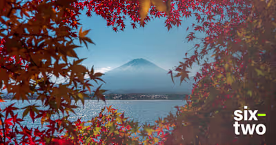 Blog Content for Contiki's Six-Two Blog