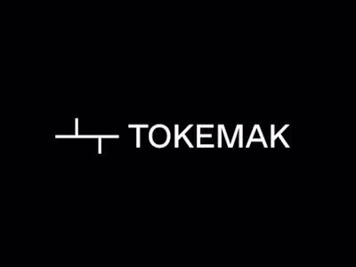 Tokemak Research Paper