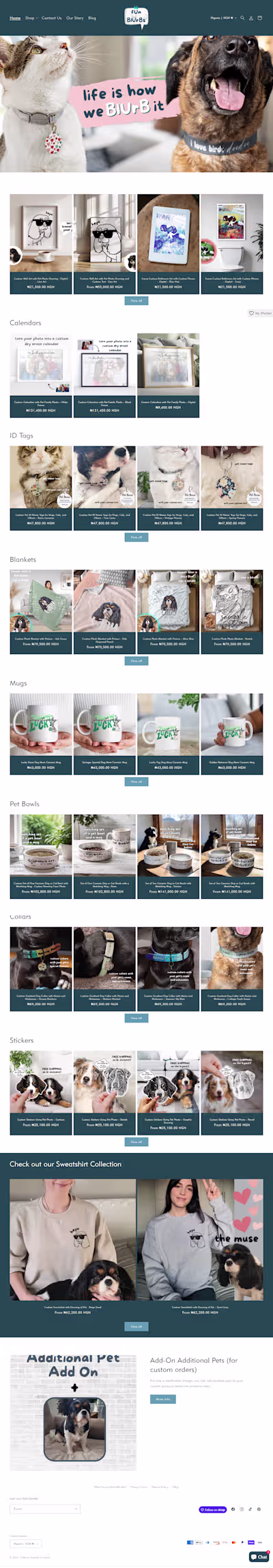 Shopify Website Design for Fun Blurbs