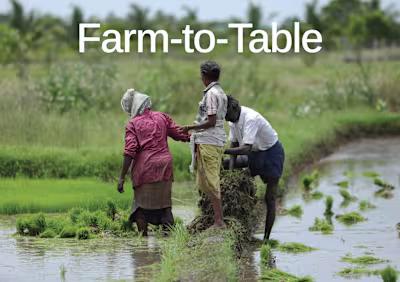 Currently designing exhibition banners for a biotech brand e...