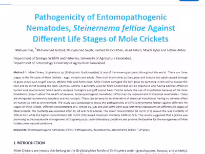 Manuscript writing, editing and Publishing 