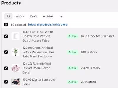 Shopify Professional Website