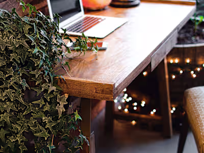 Website creation 