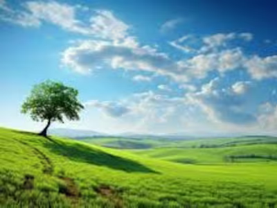 Content Revamp for an Online Magazine