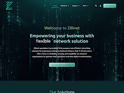 Zillinet - Networking Solutions Website Development