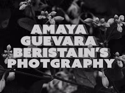 Photography | Amaya's Photographs