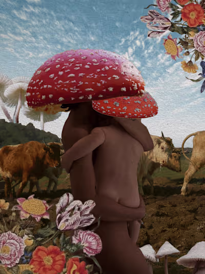 Digital Collages | Personal Project