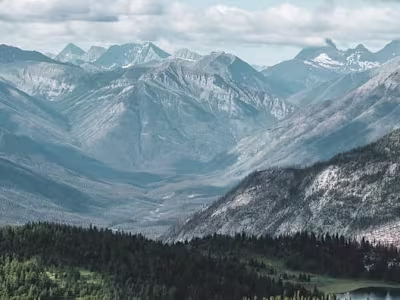 Restaurant Equipment Supplier 