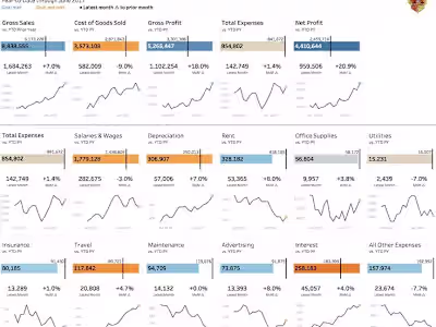 Data Analysis and Visualization for profit and loss dashoard