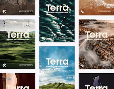 Terra | Visual Identity Design