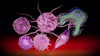 3D Hyper-Realistic Cellular Illustrations