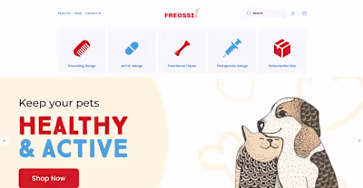 Revamping Freossi's Online Experience